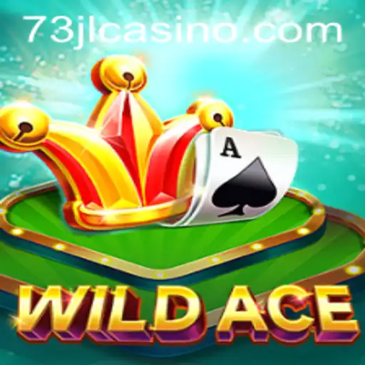 Exploring WildAce: A New Era in Gaming